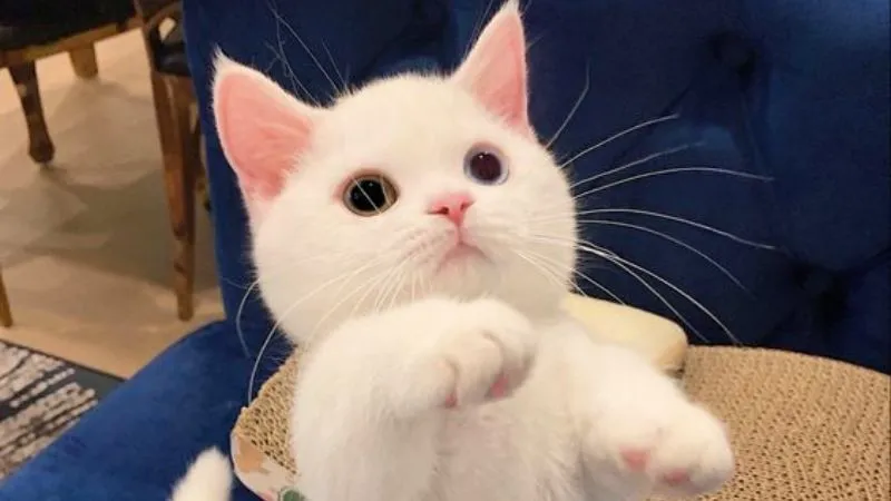 @jutly